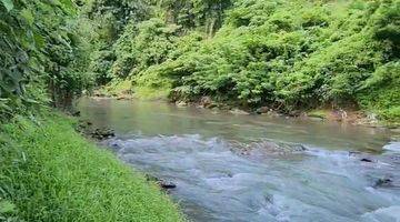 Gambar 1 TOP URGENT DI JUAL TANAH LOSS SUNGAI PETANU VIEW SAWAH LOKASI KEMENUH UBUD GIANYAR 