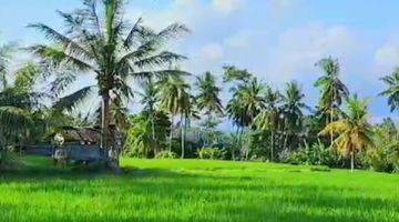 Gambar 2 TOP URGENT DI JUAL TANAH LOSS SUNGAI PETANU VIEW SAWAH LOKASI KEMENUH UBUD GIANYAR 