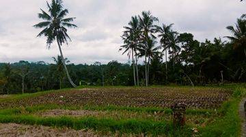 Gambar 1 Tanah Jual Lokasi Tegallalang