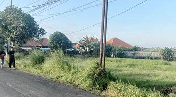 Gambar 5 Dijual Turun Harga Tanah 10 Are di Mainroad Seseh Cemagi Badung