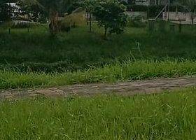 Gambar 4 Jual Murah Rumah Bagus Terawat Siap Huni Greenlake City Kosambi Jakarta Barat Kresek Cipondoh Dekat Tol 