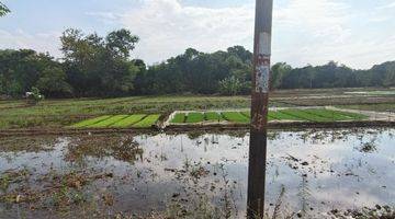 Gambar 1 Tanah di Jual 200ha di Loji Kobong Majalengka Jawa Barat 