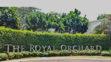 Gambar 1 Kavling dijual di Royal Orchard Kelapa Gading Jakarta Utara 