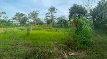 Gambar 2 For Sale Freehold Land Plot In Ubud Tegalalang 18 Are Shm