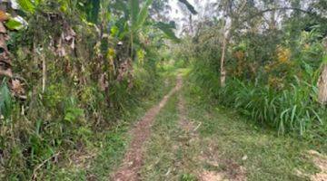 Gambar 1 For Sale Freehold Land Plot In Ubud Tegalalang 18 Are Shm