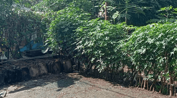 Gambar 2 Tanah Strategis Cocok Untuk Kos Kosan Dekat Unpar Ciumbuleuit 