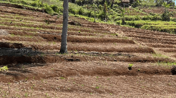 Gambar 2 Di jual Tanah Strategis Cilengkrang Bandung