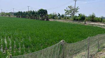 Gambar 2 Di Jual Tanah SHM Tanpa Perantara Dibekasi, Cocok Untuk Usaha Sawah Dan Perternakan Ayam