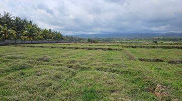 Gambar 3 Dijual Tanah Los Pantai Lokasi Pangyangan Pekutatan Jembrana Bali