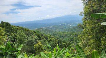 Gambar 3 Dijual tanah view air terjun lokasi munduk buleleng bali