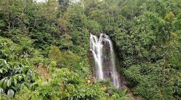 Gambar 1 Dijual tanah view air terjun lokasi munduk buleleng bali