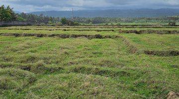 Gambar 2 Dijual Tanah Los Pantai Lokasi Pangyangan Pekutatan Jembrana Bali