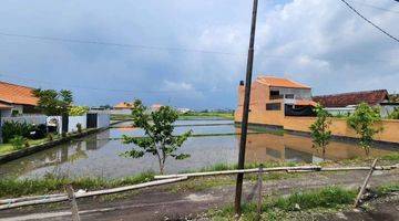 Gambar 2 Disewakan tanah dekat pantai lokasi cemagi mengwi