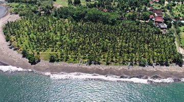 Gambar 5 Dijual tanah los pantai lokasi melaya jembrana bali