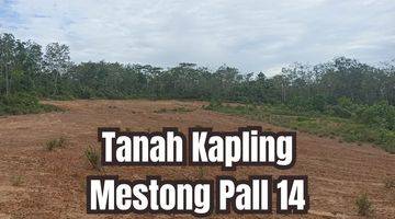 Gambar 1 Jual Tanah Mestong Pal 14 Dekat Exit Tol Jambi