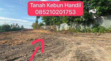 Gambar 1 Kaplingan Kebun Handil Lokasi Dekat Pasar Handil