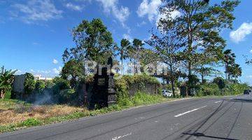 Gambar 5 Segera Dijual Tanah Strategis Di Pinggir Jalan Utama Dekat  Green School International Sibang Gde