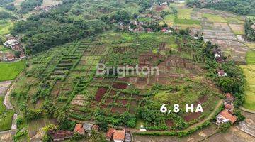 Gambar 5 Tanah Cianjur Cibinong Hilir Termurah NJOP Investasi dan Wisata