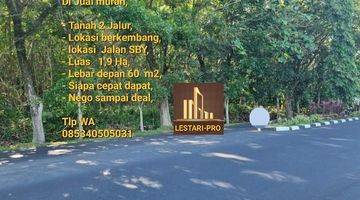 Gambar 1 Di Jual Cepat Dan Murah, Tanah Jalan Sby, Luas Tanah 1,9 Ha, Siapa Cepat Dapat