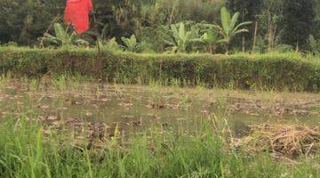 Gambar 1 Tanah Sawah Di Kota Bandung Kawasan Utara 