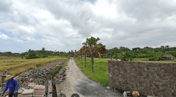 Gambar 2 Tanah 7.55 Are Los Sungai Jarak 15 Menit Dari Canggu