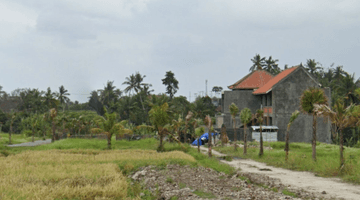 Gambar 3 Tanah 7.55 Are Los Sungai Jarak 15 Menit Dari Canggu