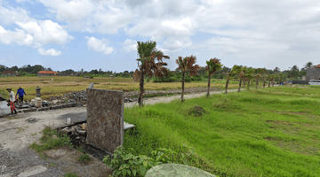 Gambar 5 Tanah 7.55 Are Los Sungai Jarak 15 Menit Dari Canggu