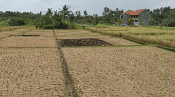 Gambar 2 Dijual Tanah di Tanah Lot - Tabanan, Bali, Tabanan 755 m²