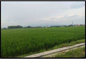 Gambar 1 lelang tanah jombang di mojoagung di kelurahan gambiran