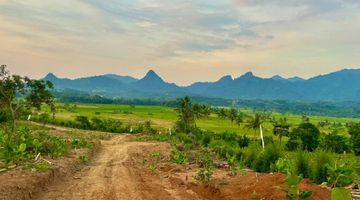 Gambar 4 Jual Tanah Terbaik Dengan View Terindah 