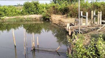 Gambar 2 Tanah di Muara Gembong, Bekasi 16 Ha