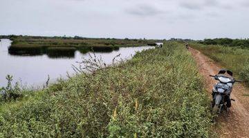 Gambar 5 Tanah di Muara Gembong, Bekasi 16 Ha