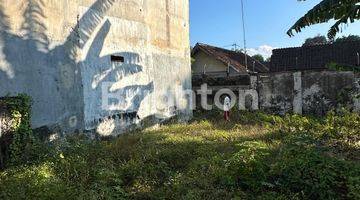 Gambar 4 Rumah Sarang Burung Walet di Bondowoso Jawa Timur