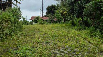 Gambar 5 Jual Tanah 4.191m2 di Jl Raya Trawas Mojokerto Jawa Timur 