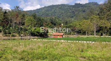 Gambar 1 Tanah Terbaik di Ranca Bali Ciwidey, pemandangan sangat indah menghadap Kota Bandung, persis disamping Nimo Jungle