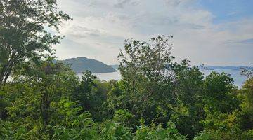 Gambar 2 Tanah Seluas 8.960 M2 Shm di Labuan Bajo