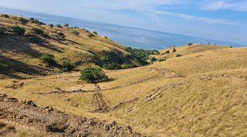 Gambar 2 Tanah Seluas 10 Ha SHM di Pulau Seraya Besar,manggarai Barat