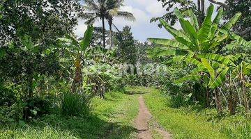 Gambar 3 Tanah 3,5 Hektar Di Sayan Ubud Bali Los Sungai Ayung