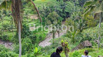 Gambar 1 Tanah 3,5 Hektar Di Sayan Ubud Bali Los Sungai Ayung