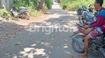 Gambar 4 BEACHFRONT 16 ARE LAND IN TAMARIN BEACH LEMBONGAN