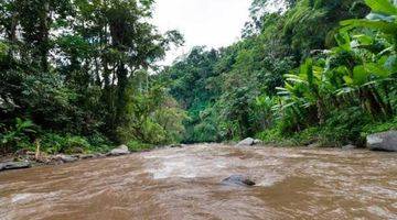 Gambar 5 TANAH 6,03 HEKTAR DI SAYAN UBUD DEKAT FOUR SEASON