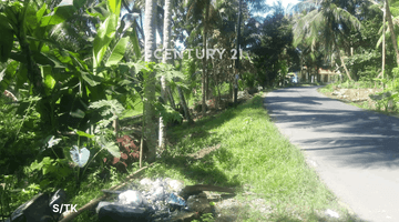 Gambar 1 TANAH STARTEGIS DI CITUMANG PANGANDARAN COCOK UNTUK USAHA