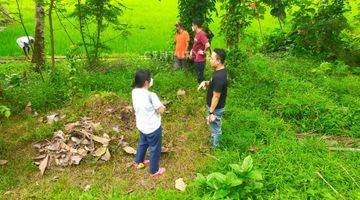 Gambar 4 TANAH STARTEGIS DI CITUMANG PANGANDARAN COCOK UNTUK USAHA