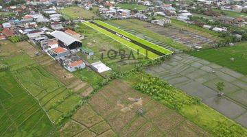 Gambar 5 Disewakan Tanah Kavling Lokasi Kedampang - Kerobokan Plot 2 - 10 Are