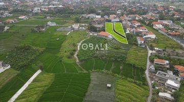 Gambar 1 DIJUAL CEPAT TANAH KAVLING LOKASI CANGGU - KULIBUL