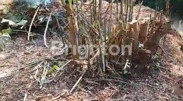 Gambar 1 MURAH TANAH KAVLING GUNUNGPATI SIAP BANGUN