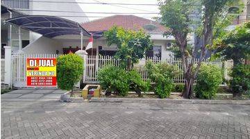 Gambar 2 Rumah Siap Huni Bagus 1 Lantai Mojoarum Dkt Dharmahusada Gm Unair