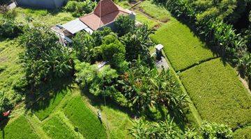 Gambar 1 TANAH BAGUS UNTUK VILLA, VIEW SAWAH DAN SUNGAI DEKAT CANGGU