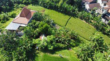 Gambar 2 TANAH BAGUS UNTUK VILLA, VIEW SAWAH DAN SUNGAI DEKAT CANGGU