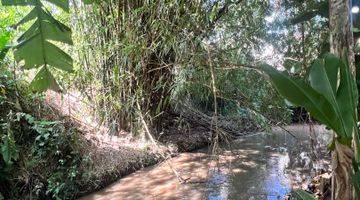 Gambar 3 TANAH BAGUS UNTUK VILLA, VIEW SAWAH DAN SUNGAI DEKAT CANGGU